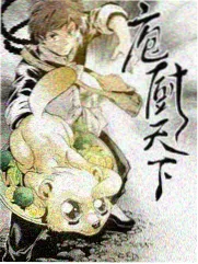 综艺节目 口播广告 植入形式